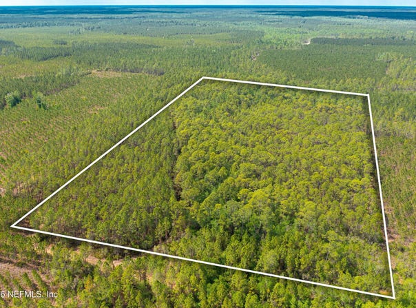 COUNTY ROAD 229, Sanderson, FL 32087
