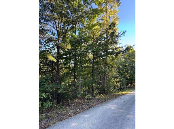 Turkey Ridge Road lot: 51, Wellington, KY 40387