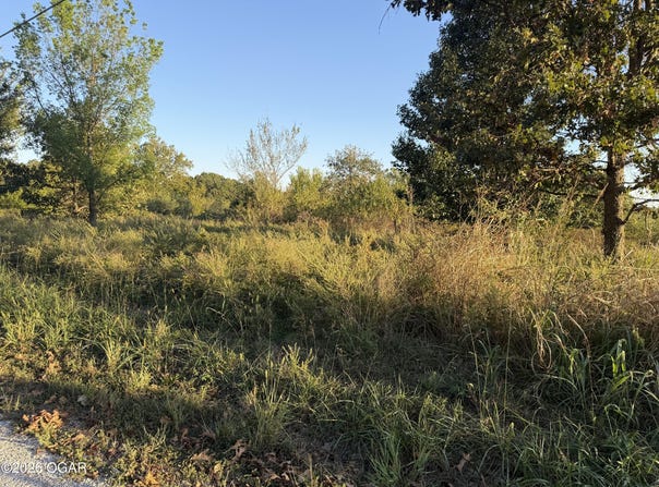 Birch Road, Joplin, MO 64804