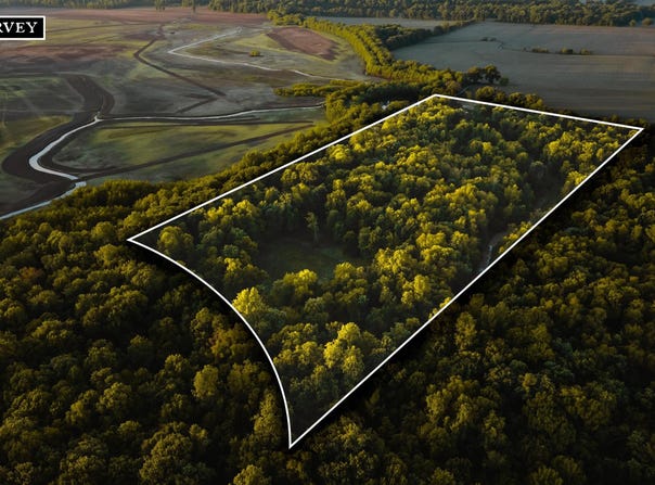 Obion River, Obion, TN 38240
