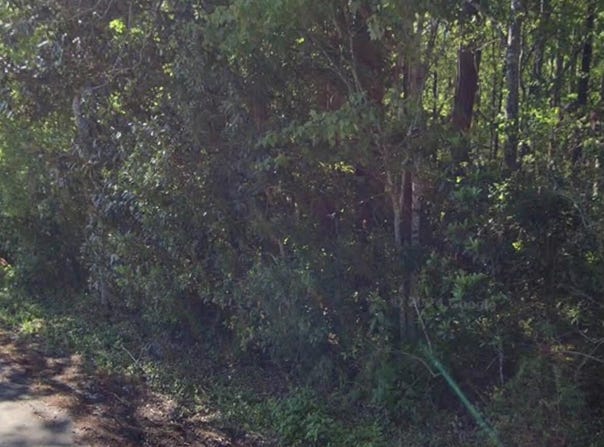 1124 FLEMING Street, Fleming Island, FL 32003