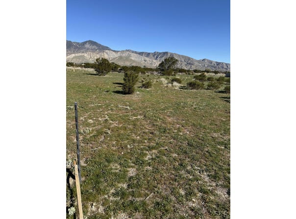 Faryl Avenue, Cabazon, CA 92230