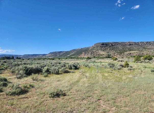 Conejos River Trails lot: 11, Antonito, CO 81120