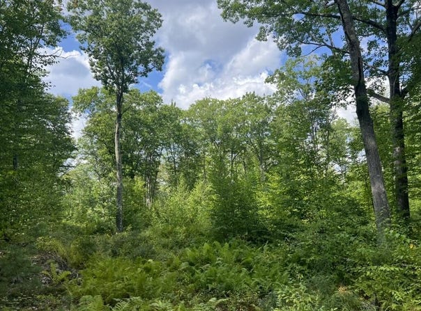 Old County Road, Lyman, ME 04002