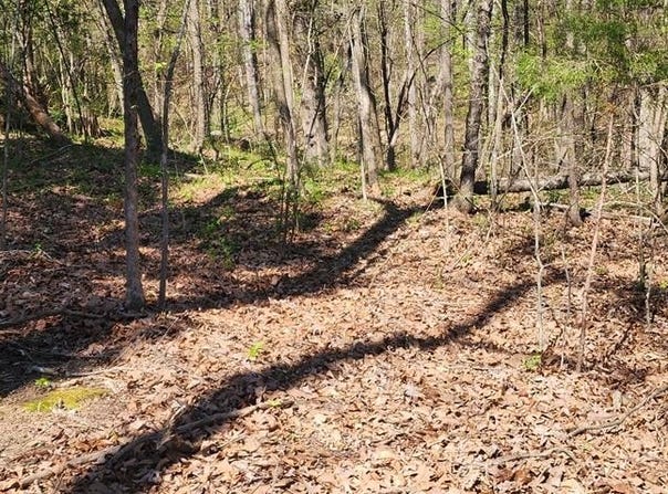 Id03 Highlander Rd, CAMDEN, TN 38320
