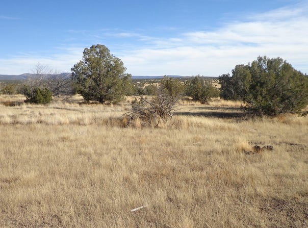 N Trackside Trail Lane, Ash Fork, AZ 86320