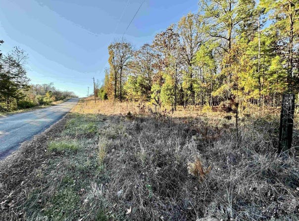 Winding Branch Ln, Conway, AR 72032