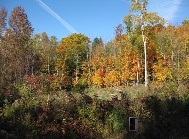 71 Overlook Lane, Westmore, VT 05860