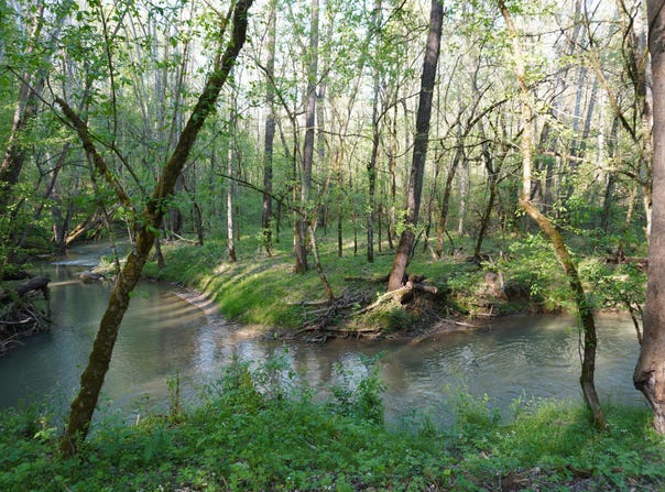 Golf Course Road lot: 1-2, Newport, TN 37821