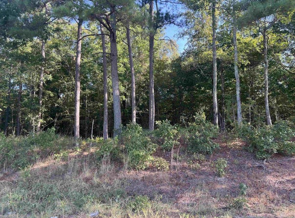 xx 10 CASTLE, Amity, AR 71921