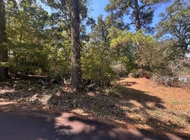 1144 County Road 2650, Shelbyville, TX 75973