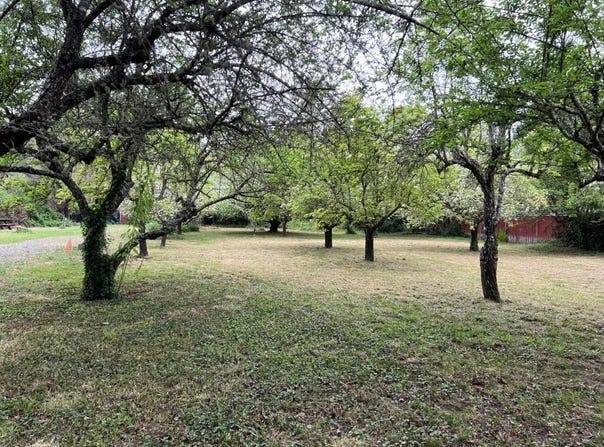 236 &240 Orchard Way, Myers Flat, CA 95554