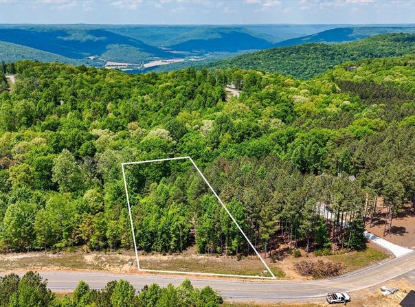 Crockett Point lot: 401, Jasper, TN 37347