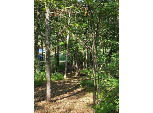 W Wilmas Way, Baldwin, MI 49304