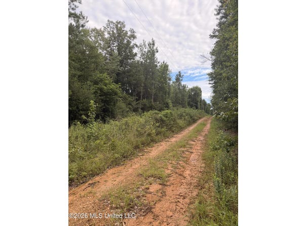 Candy Lane, McComb, MS 39648