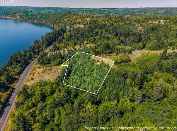 Old Tree Farm Dr, Longview, WA 98632
