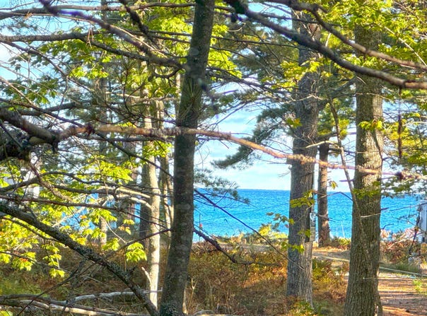 THIRD CREEK SUBDIVISION lot: 7, Paradise, MI 49768