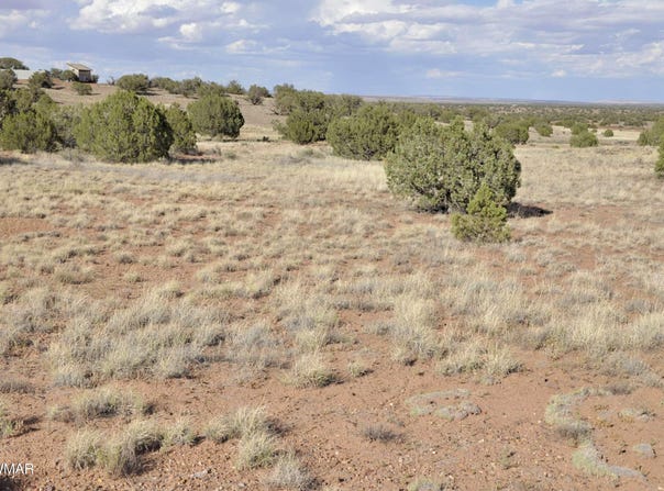 10 N9228, Concho, AZ 85924