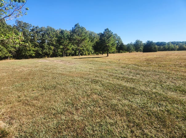 2065 Normandy Road, Fordland, MO 65652