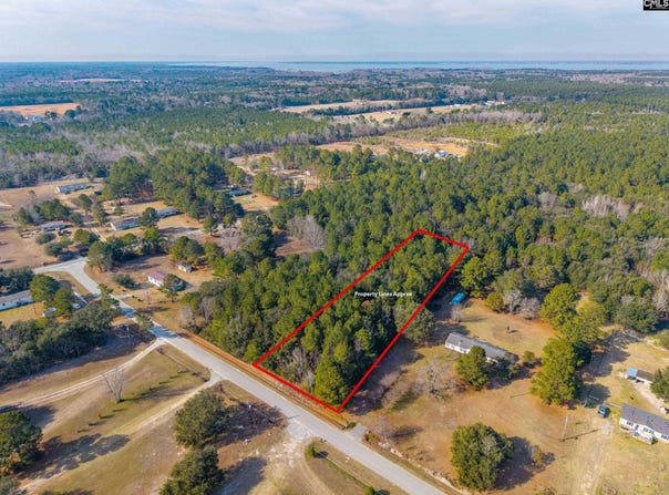 Moonlight Drive, Eutawville, SC 29048