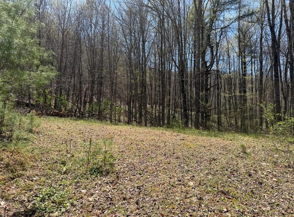 Morris Branch Road, Meadow Bridge, WV 25976