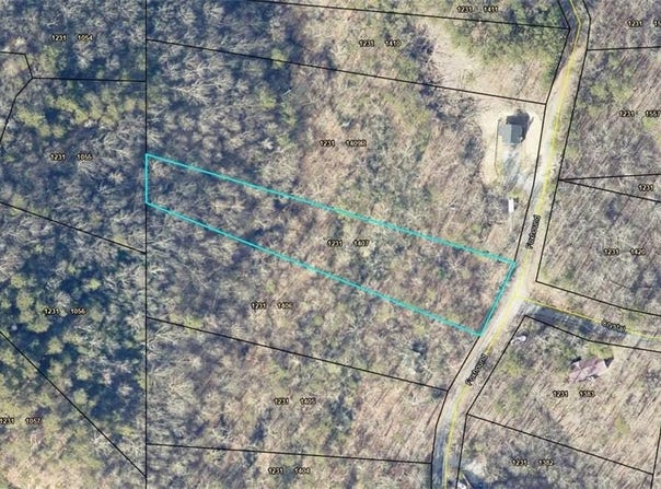 1407 Foxhound Trail NE, Ranger, GA 30734