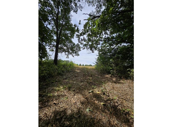 Settlers Trail Road, Marshfield, MO 65706