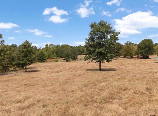 Silk Tree Rd, Gilmer, TX 75645