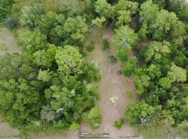 4717 NE 141ST Avenue, WILLISTON, FL 32696
