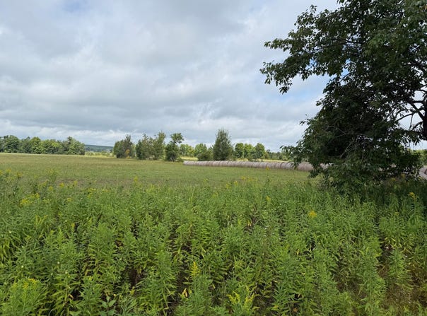 W15976 QUARTER DR, Goodman, WI 54125