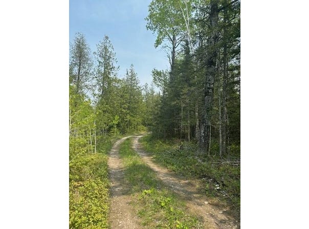 W M-134 Hwy, Hessel, MI 49745
