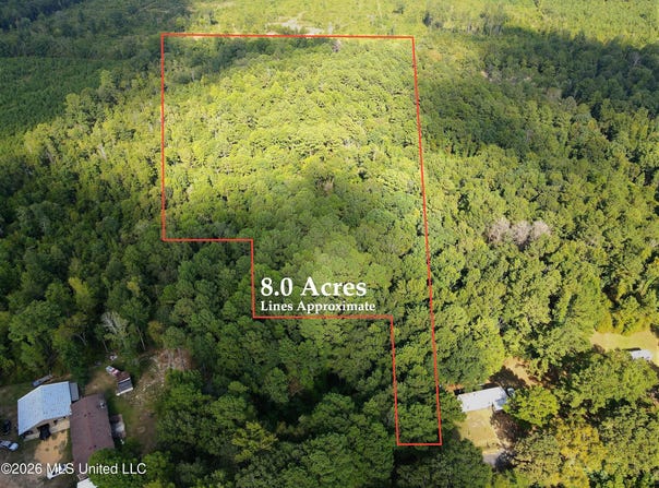 Blanchard Lane, Silver Creek, MS 39663