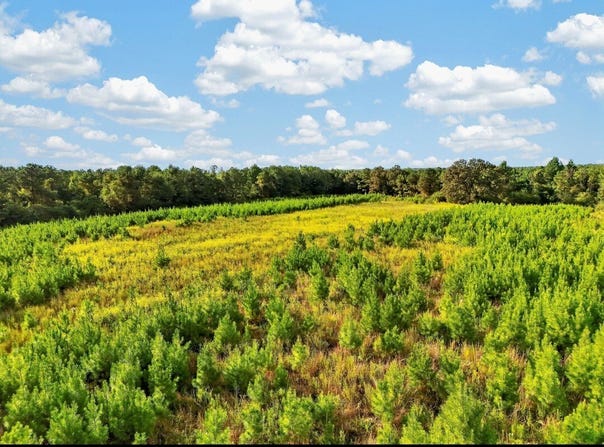 Co Rd 15, Maplesville, AL 36750