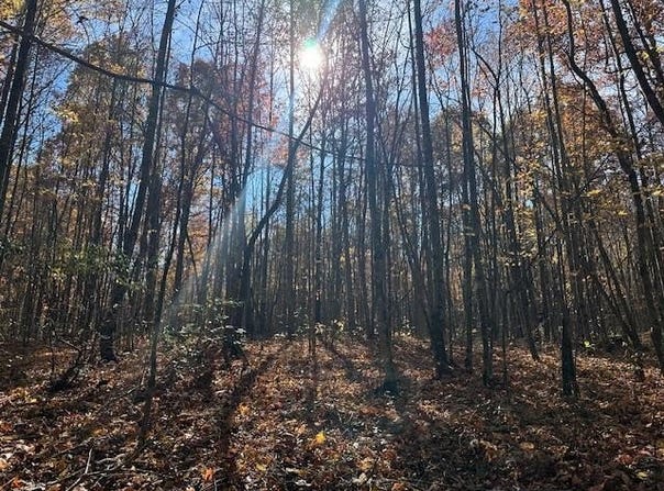 Hilltop Lane lot: 321, Wilder, TN 38589