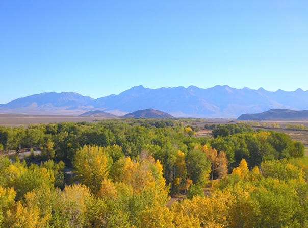 Bartlett Point Rd., Mackay, ID 83251