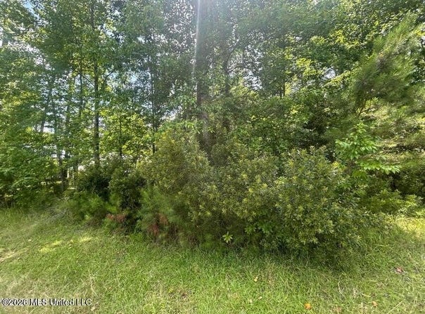Pine Tree Road, Pachuta, MS 39347