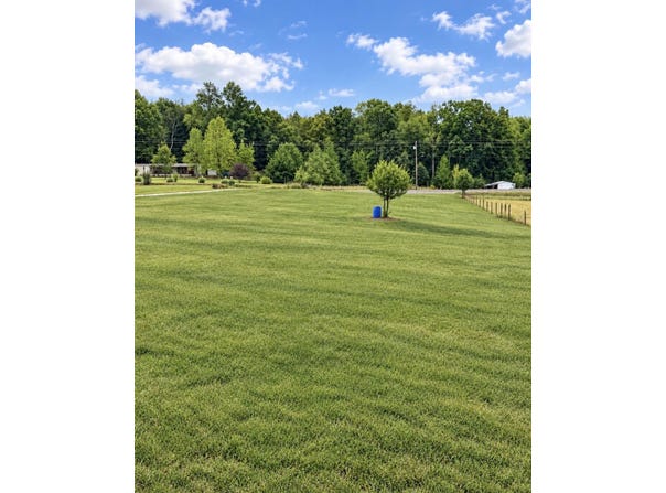 Hwy 64, Lexington, AL 35648