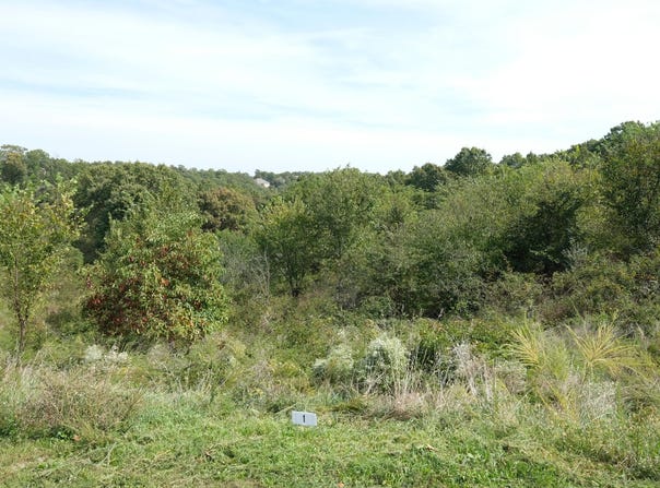 374 Emory Creek Road, Branson, MO 65616
