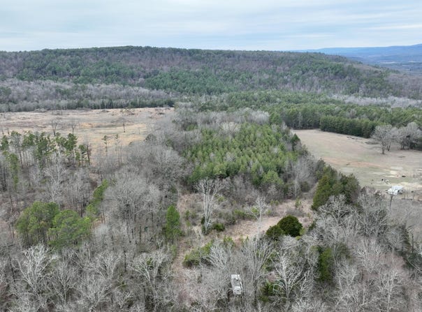 PR 3846, Lamar, AR 72846