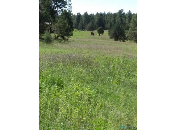 344 FOREST Rd, Pecos, NM 87552