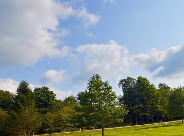 Penny Lane lot: 42, Davis, WV 26260