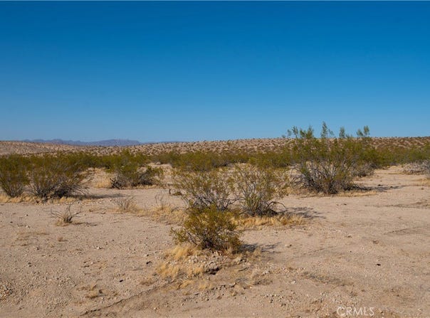 Near Pampas, 29 Palms, CA 92277