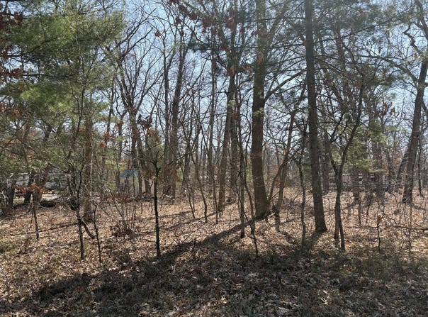 S Chief Okemos Trail, Baldwin, MI 49304