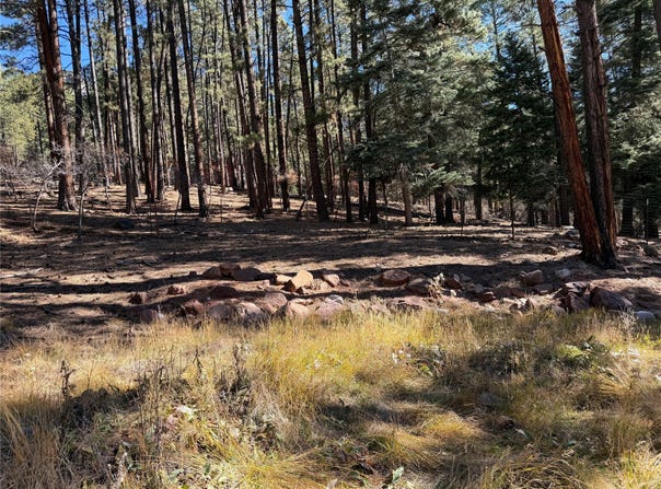 BRAZOS LODGE SPRUCE, Chama, NM 87520