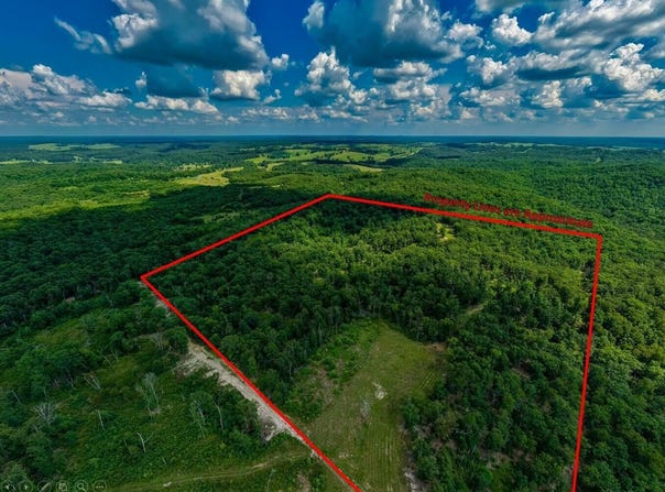 Berry Road, Cabool, MO 65689
