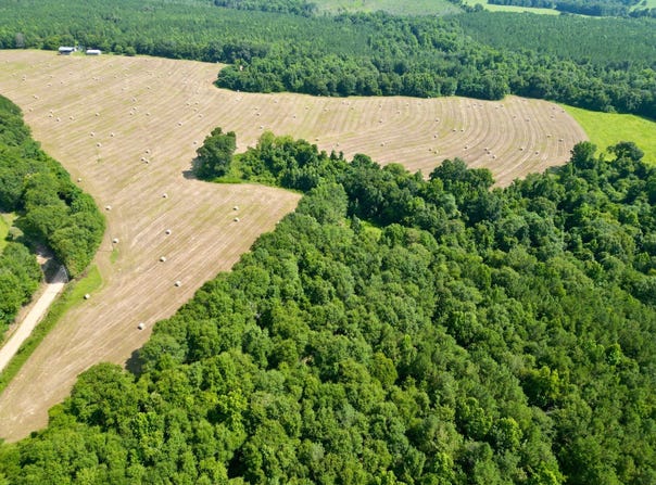 CR 127, Banks, AL 36005