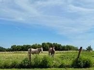 State Highway 83, Weaubleau, MO 65774