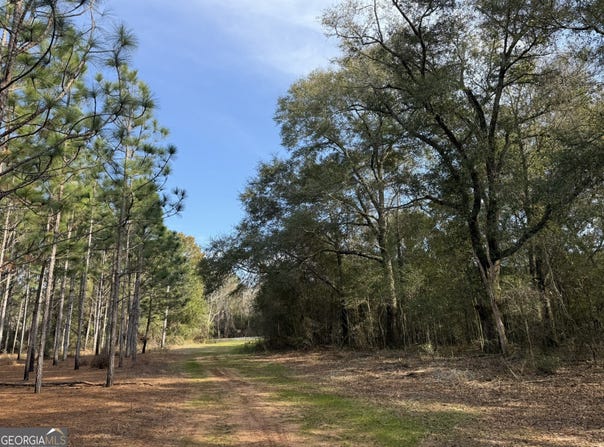 004 Hwy 45, Plains, GA 31780