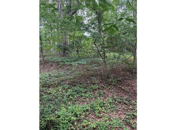 Monument Drive, Nitro, WV 25143