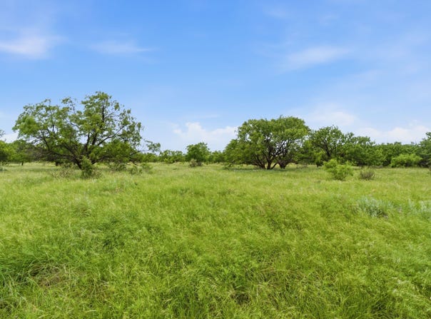 FM 880, Moran, TX 76464